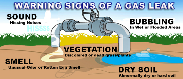 Warning signs of underground gas leak