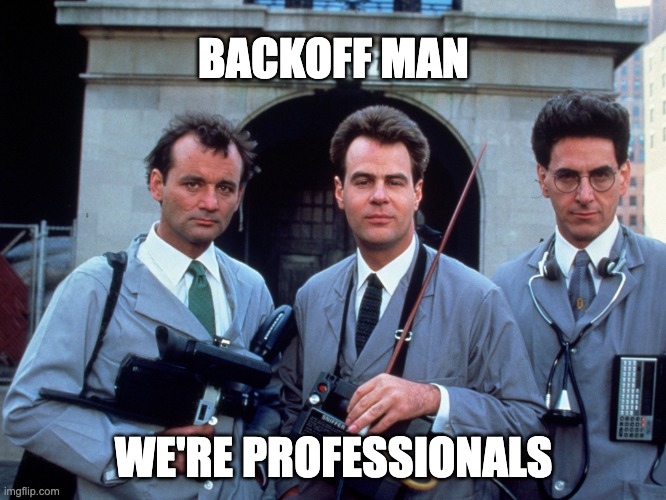 Professional Leak Detection Services meme