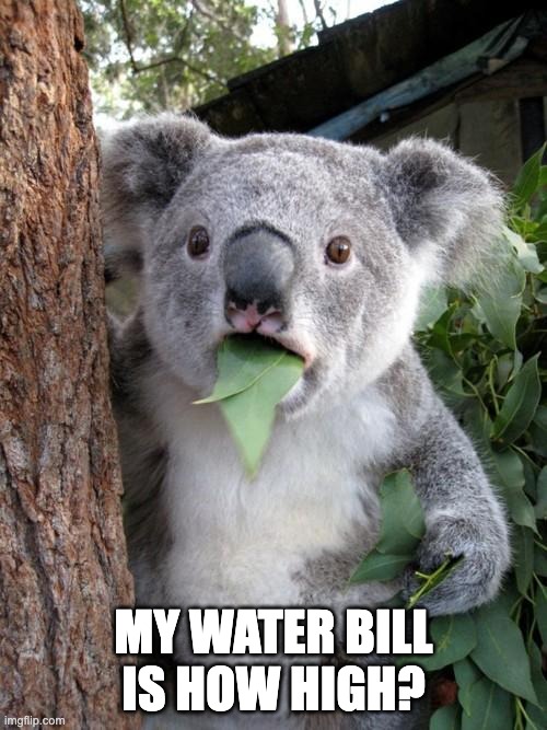 water-leak-high-water-bill-meme high water bill from water leak meme